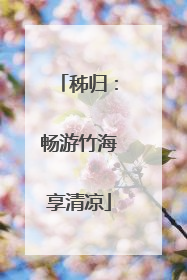 秭归：畅游竹海享清凉